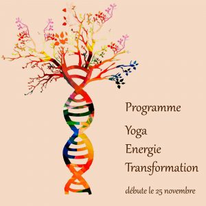 Yoga énergie transformation