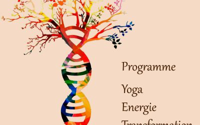 Programme Yoga Energie Transformation
